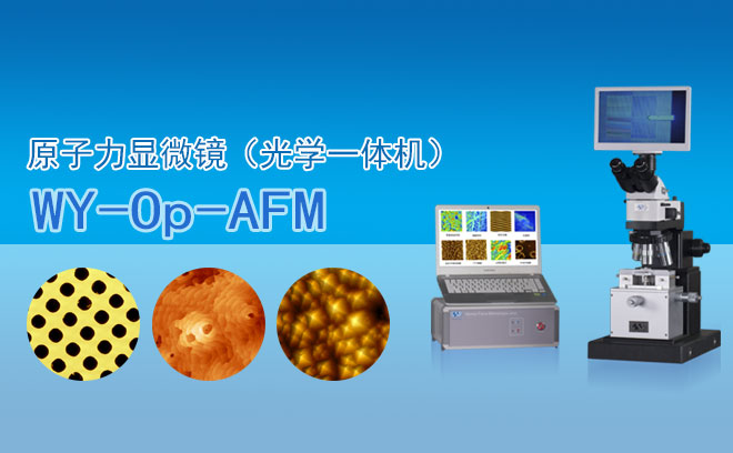 原子力顯微鏡(光學(xué)一體機) WY-Op-AFM